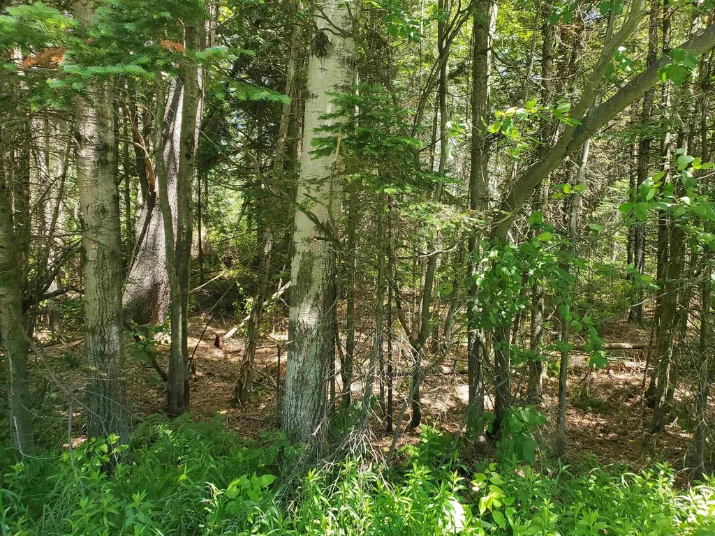 01-88 Route 242 Jay VT 05859