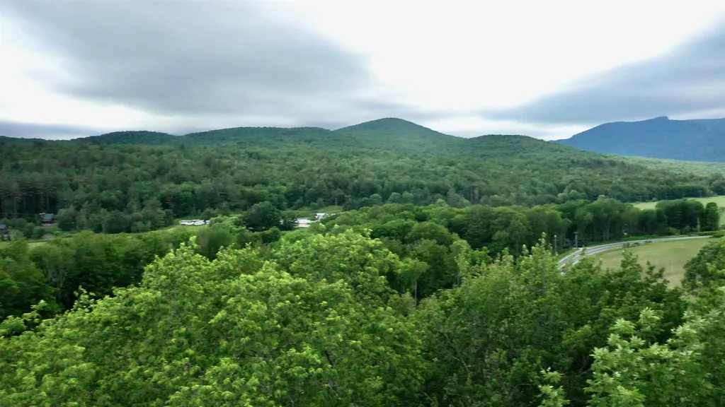 2438 Mountain Road Stowe VT 05672