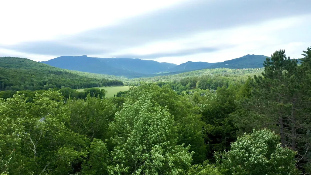 2438 Mountain Road Stowe VT 05672