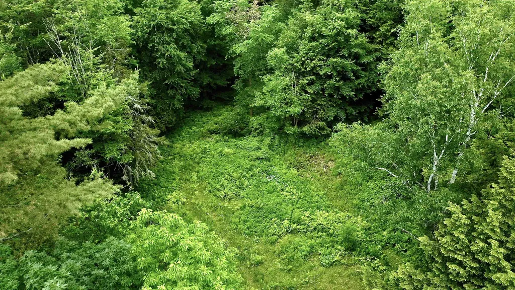 2438 Mountain Road Stowe VT 05672