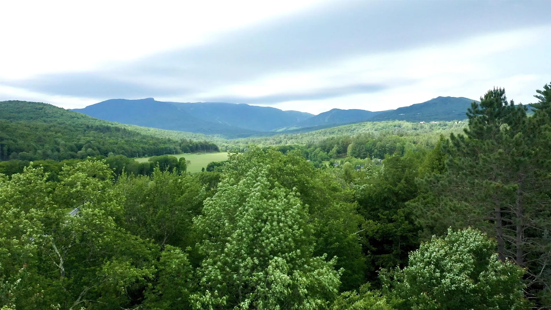 2438 Mountain Road Stowe VT 05672