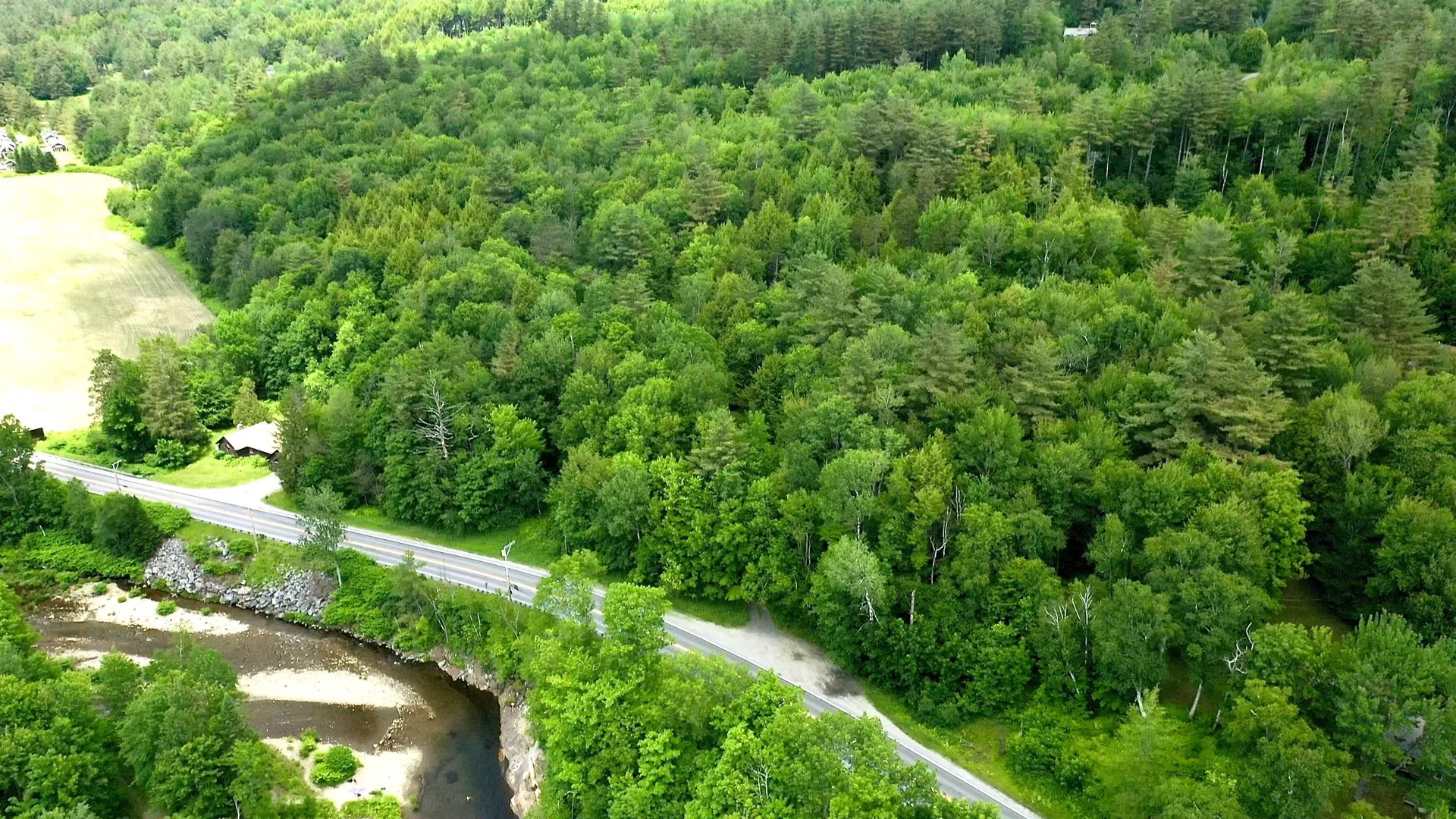 2438 Mountain Road Stowe VT 05672