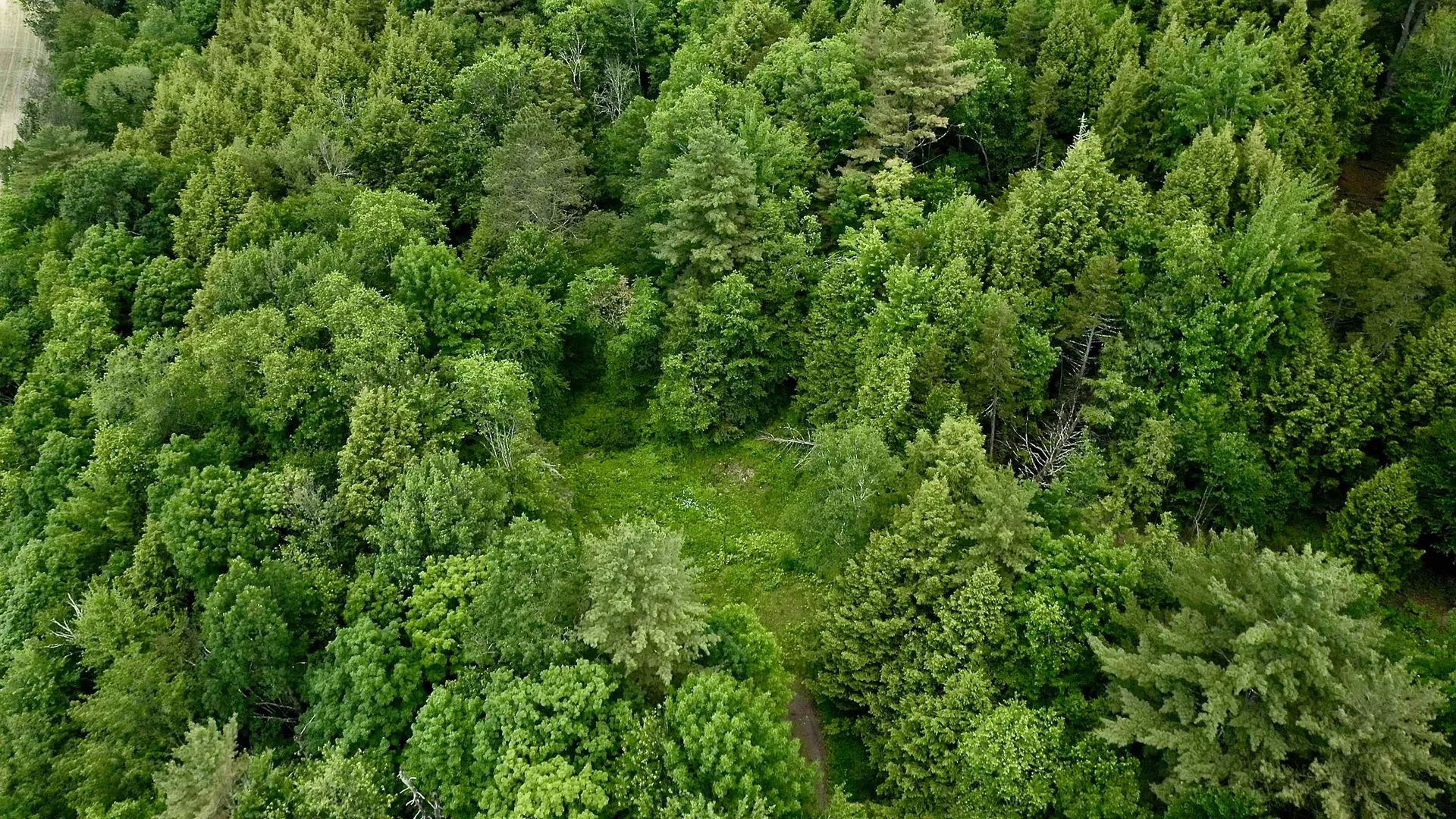 2438 Mountain Road Stowe VT 05672