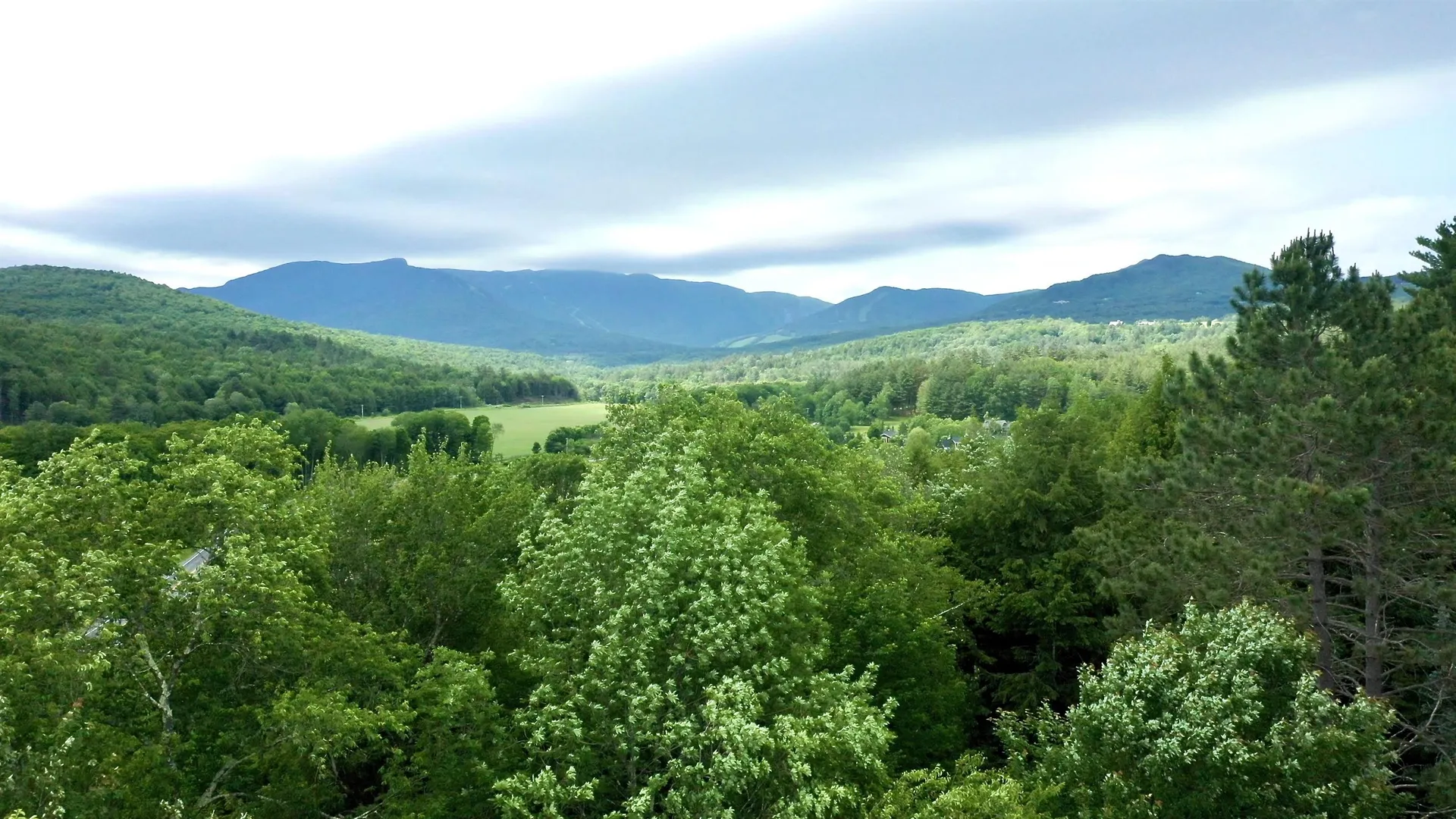 2438 Mountain Road Stowe VT 05672