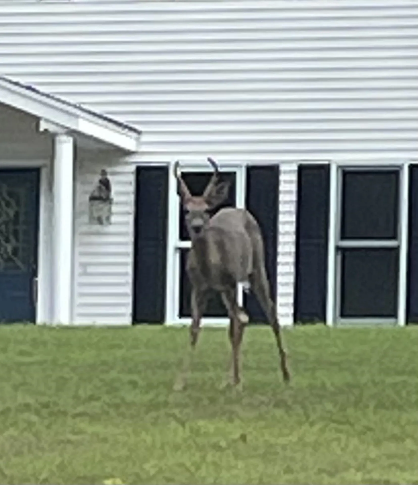 38 Mason Road Brookline NH 03033