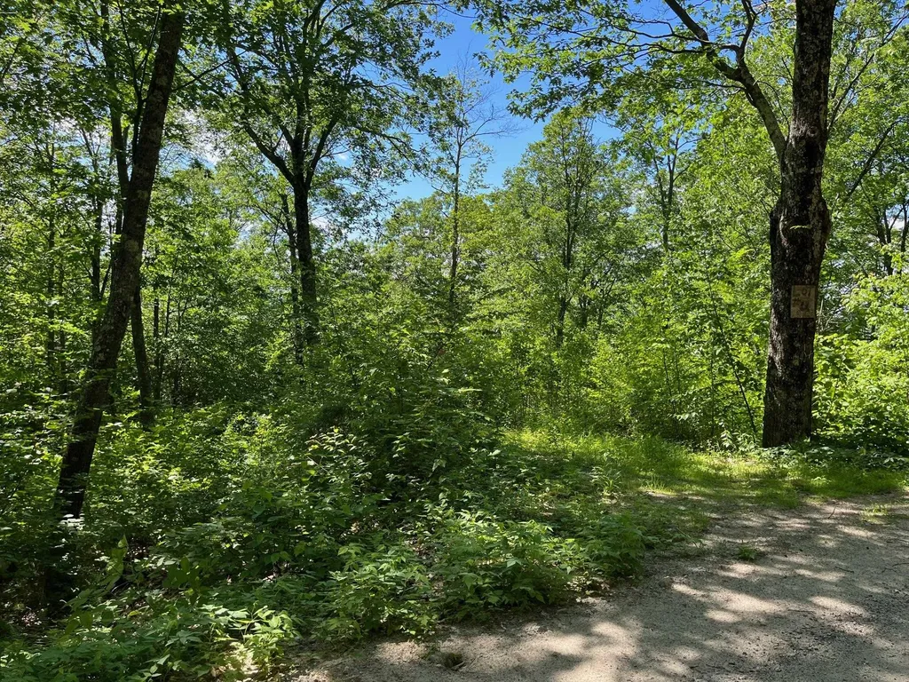 294 Mount Hunger Road Henniker NH 03242