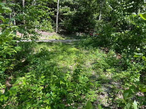 294 Mount Hunger Road Henniker NH 03242