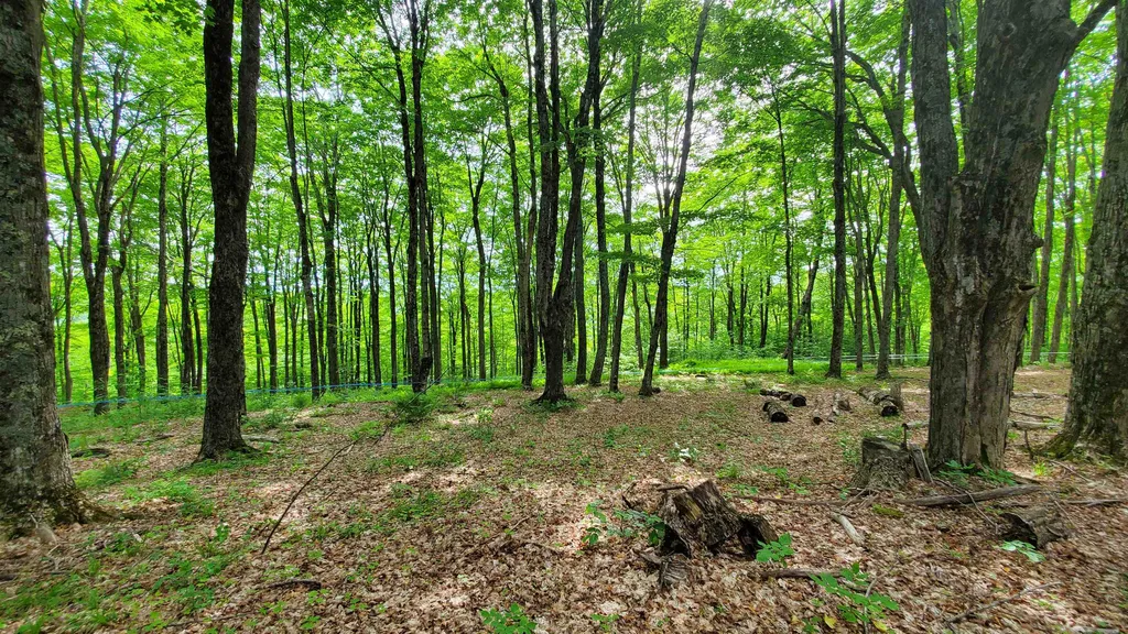 0 Pennock Road Strafford VT 05072