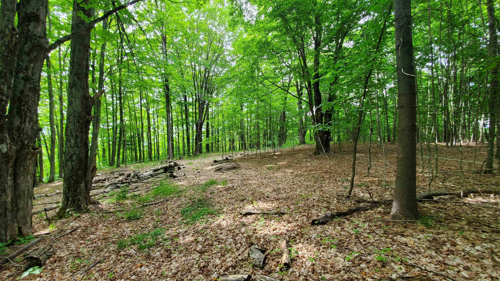 0 Pennock Road Strafford VT 05072
