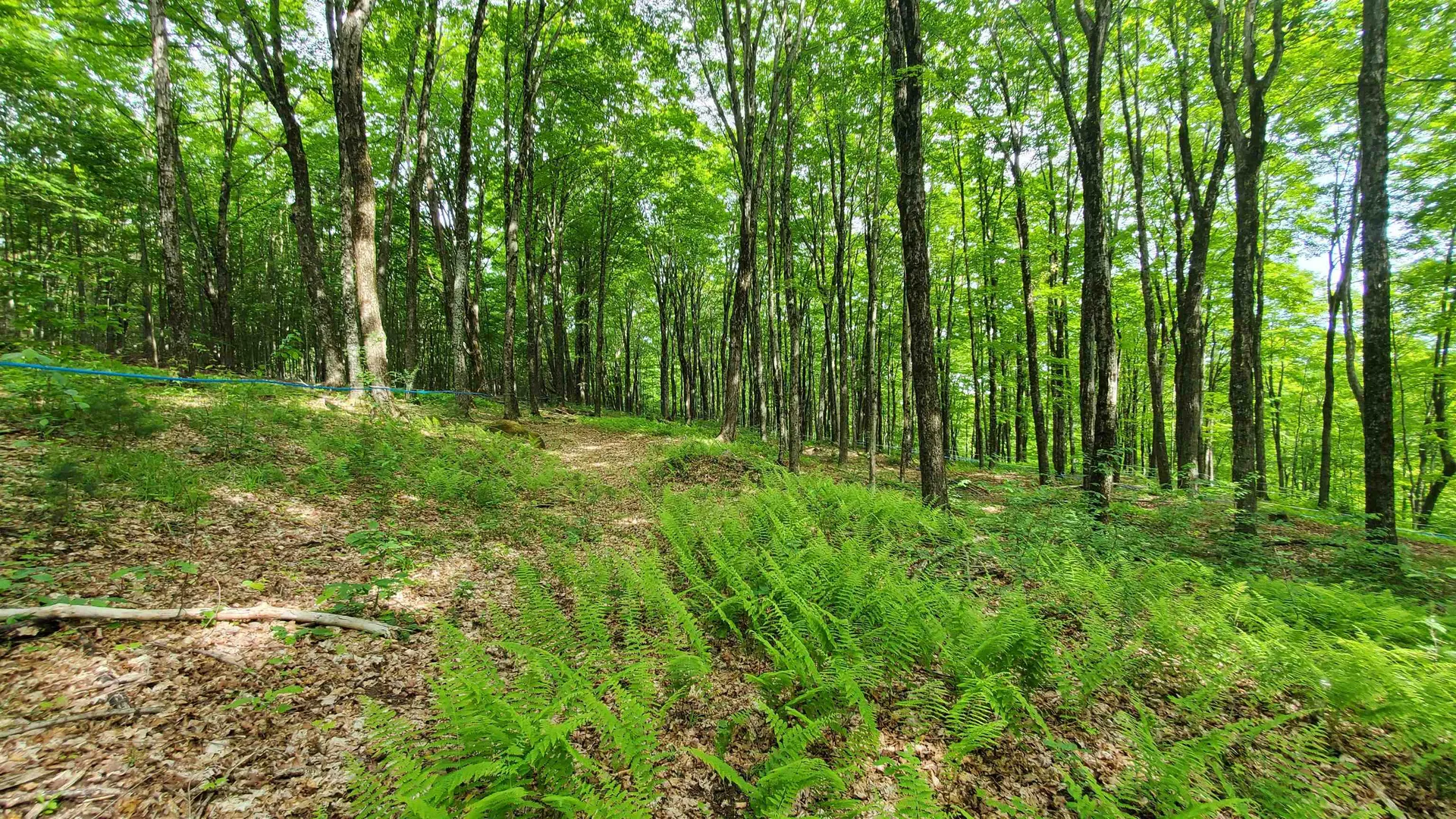 0 Pennock Road Strafford VT 05072