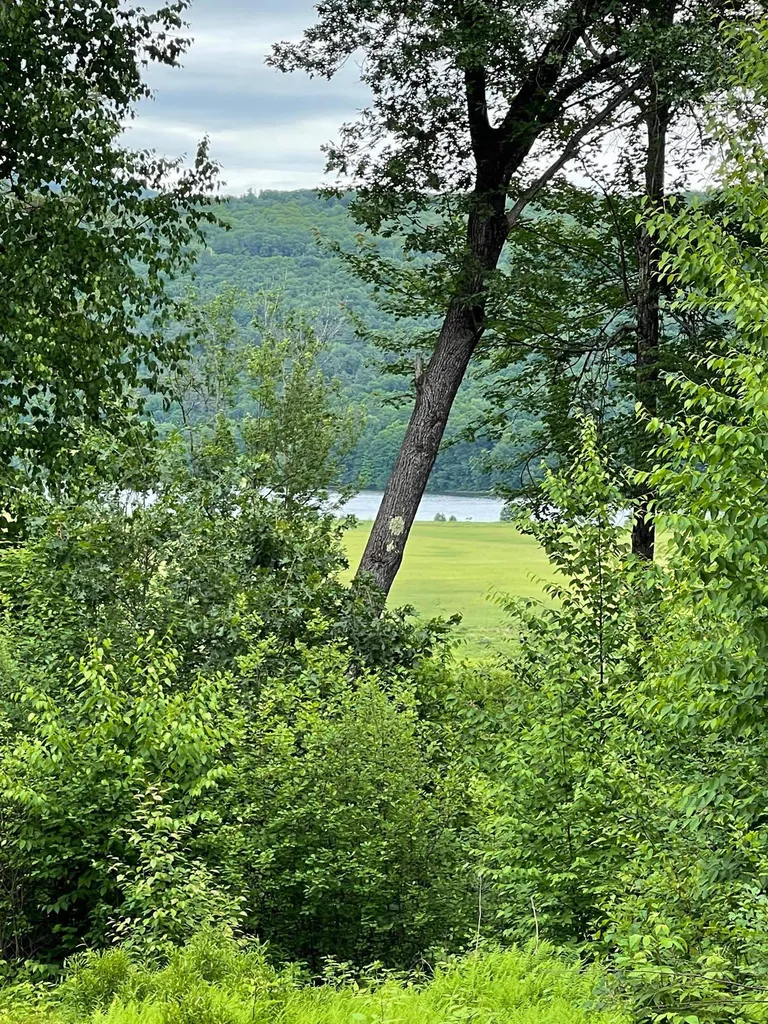 426 Missing Link Road Rockingham VT 05101