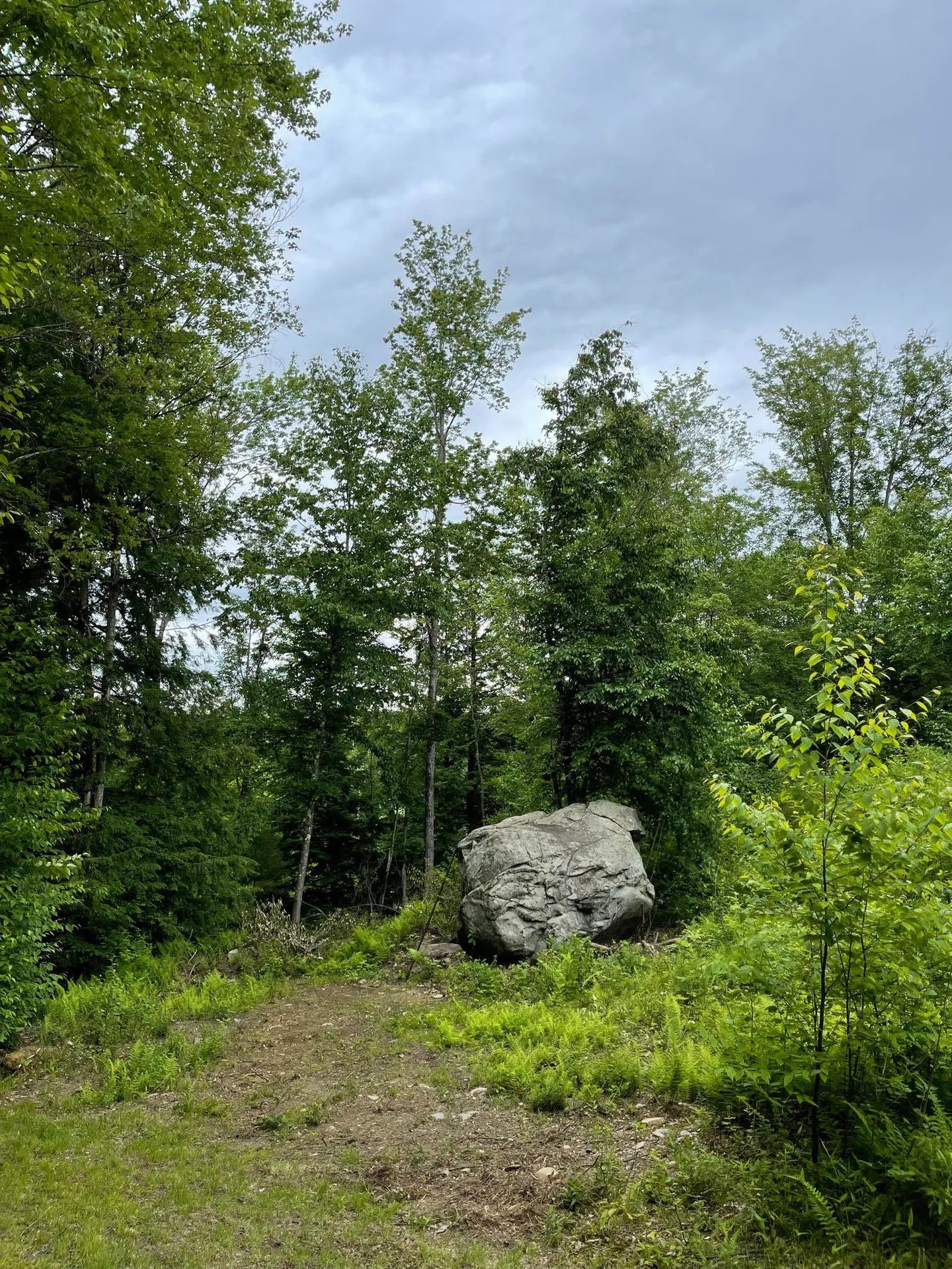 426 Missing Link Road Rockingham VT 05101
