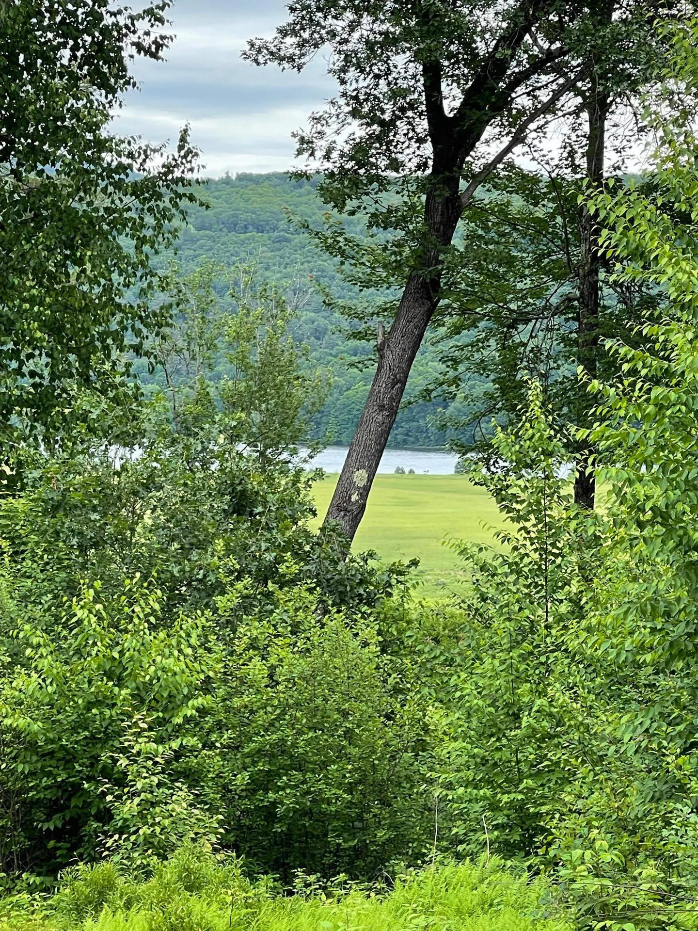 426 Missing Link Road Rockingham VT 05101