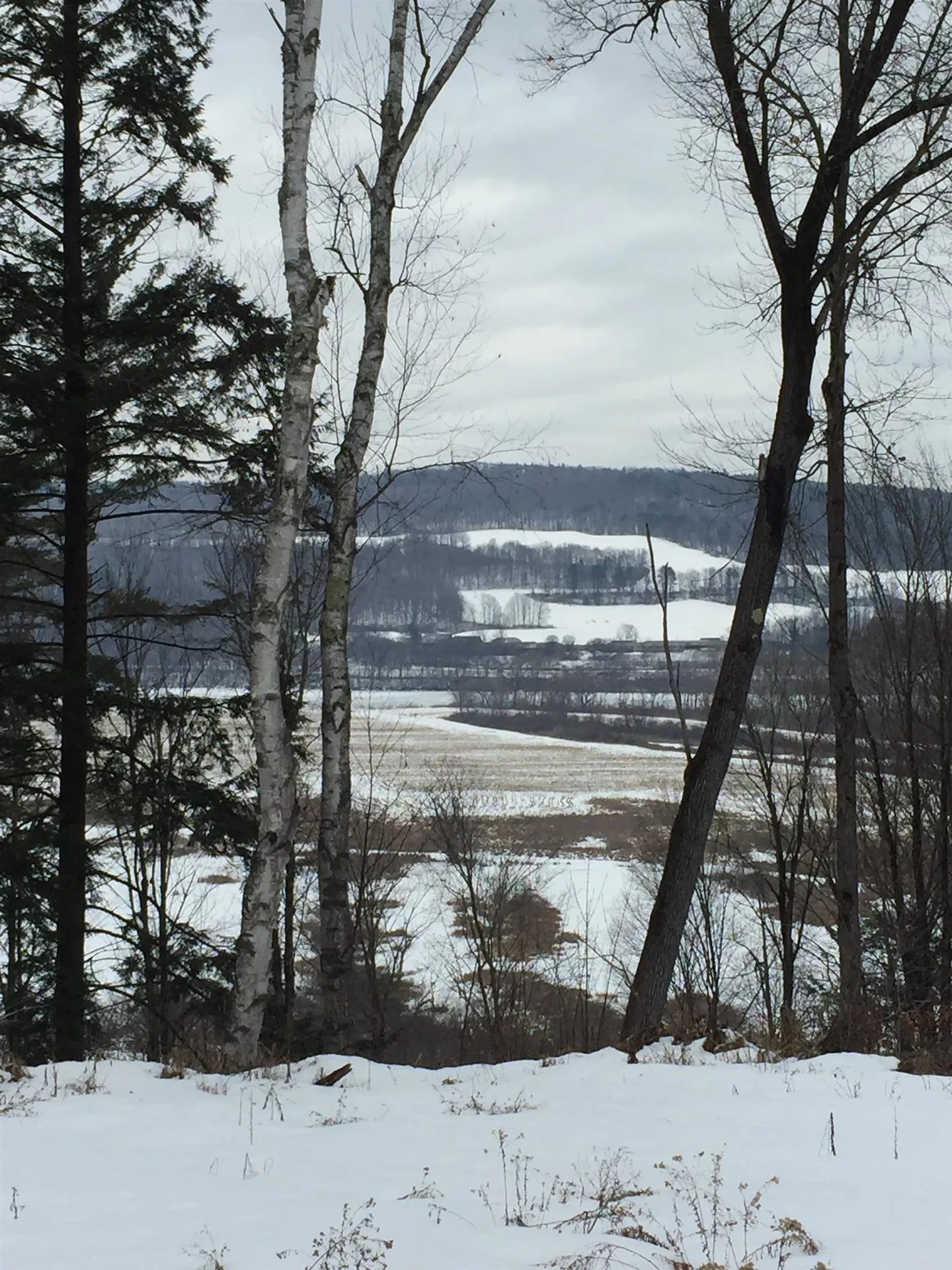 426 Missing Link Road Rockingham VT 05101