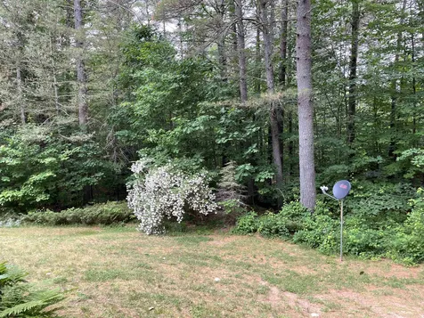 46 Friar Tuck Way Wolfeboro NH 03894