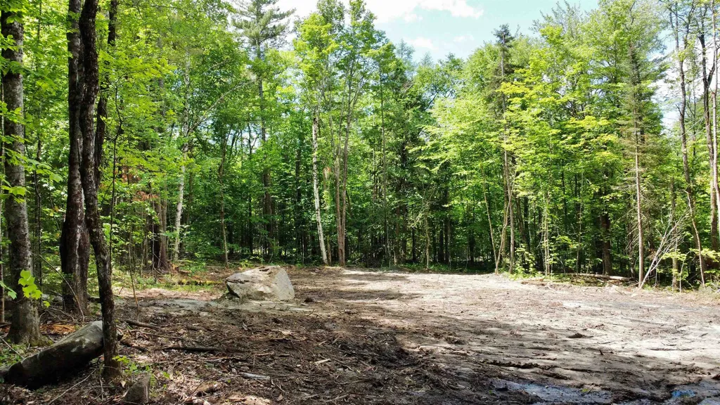 0 Cape Moonshine Road Piermont NH 03779