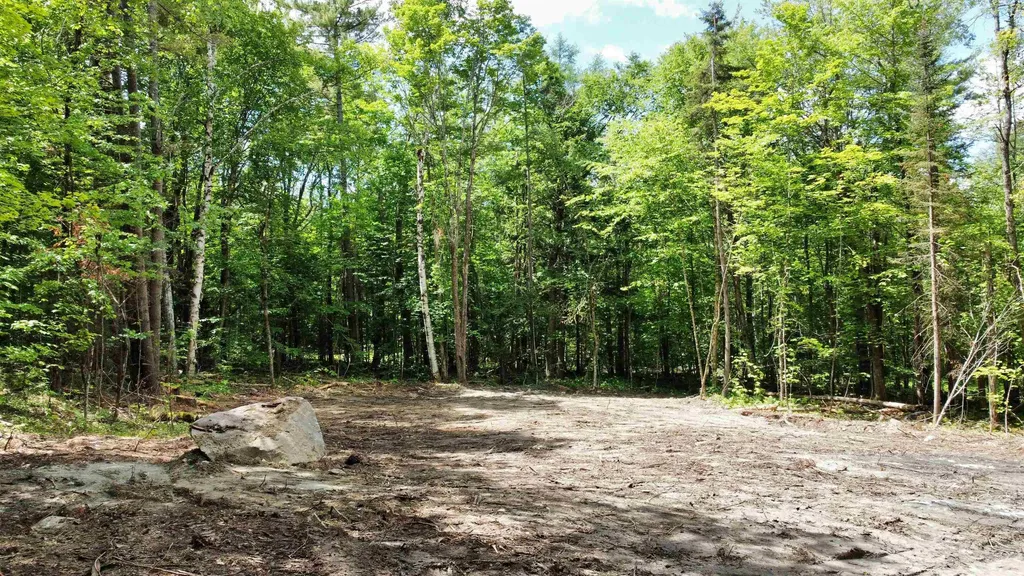 0 Cape Moonshine Road Piermont NH 03779