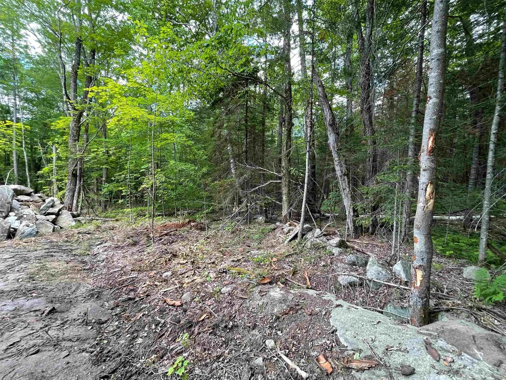 0 Cape Moonshine Road Piermont NH 03779