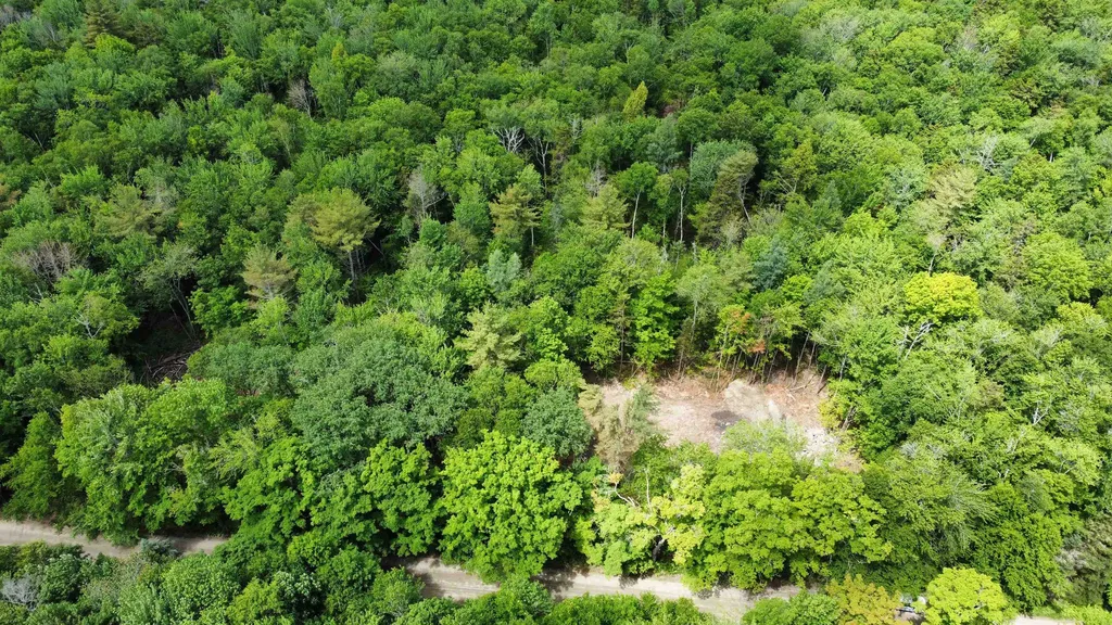 0 Cape Moonshine Road Piermont NH 03779