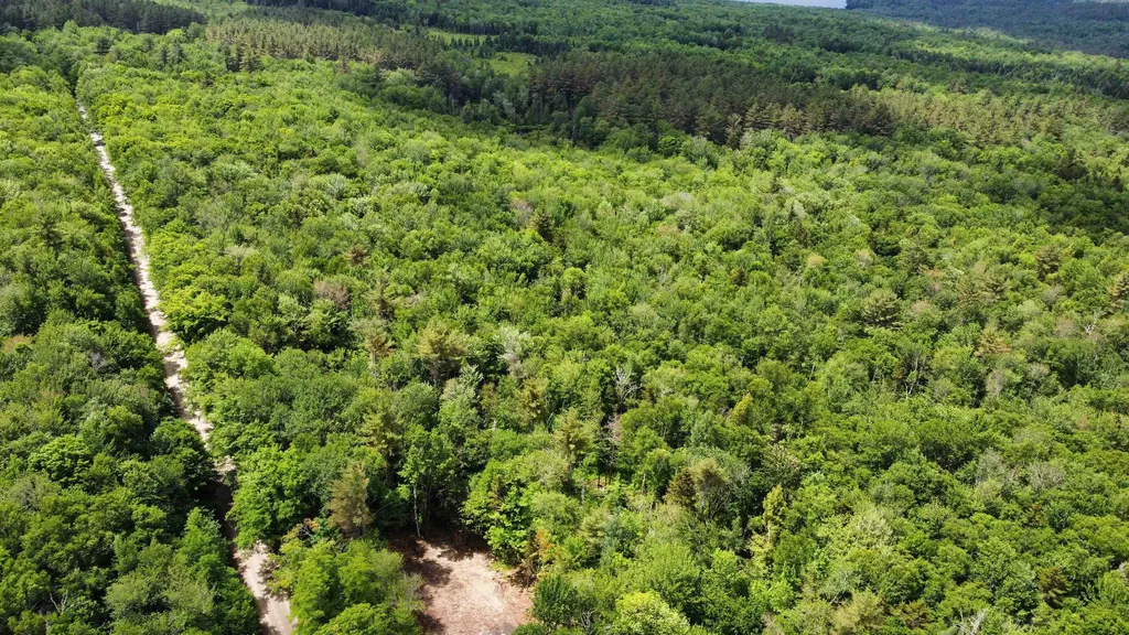 0 Cape Moonshine Road Piermont NH 03779