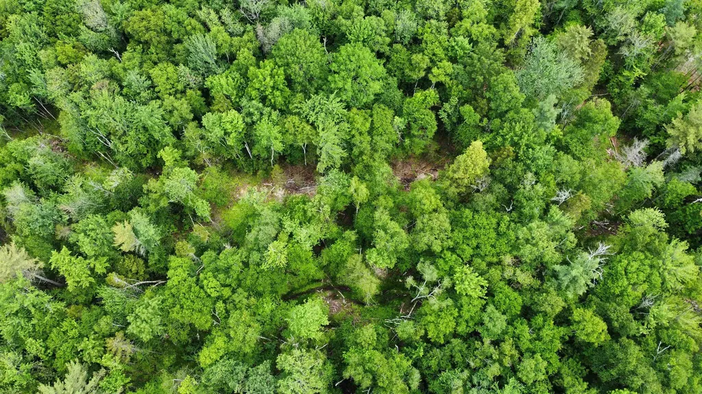 0 Cape Moonshine Road Piermont NH 03779
