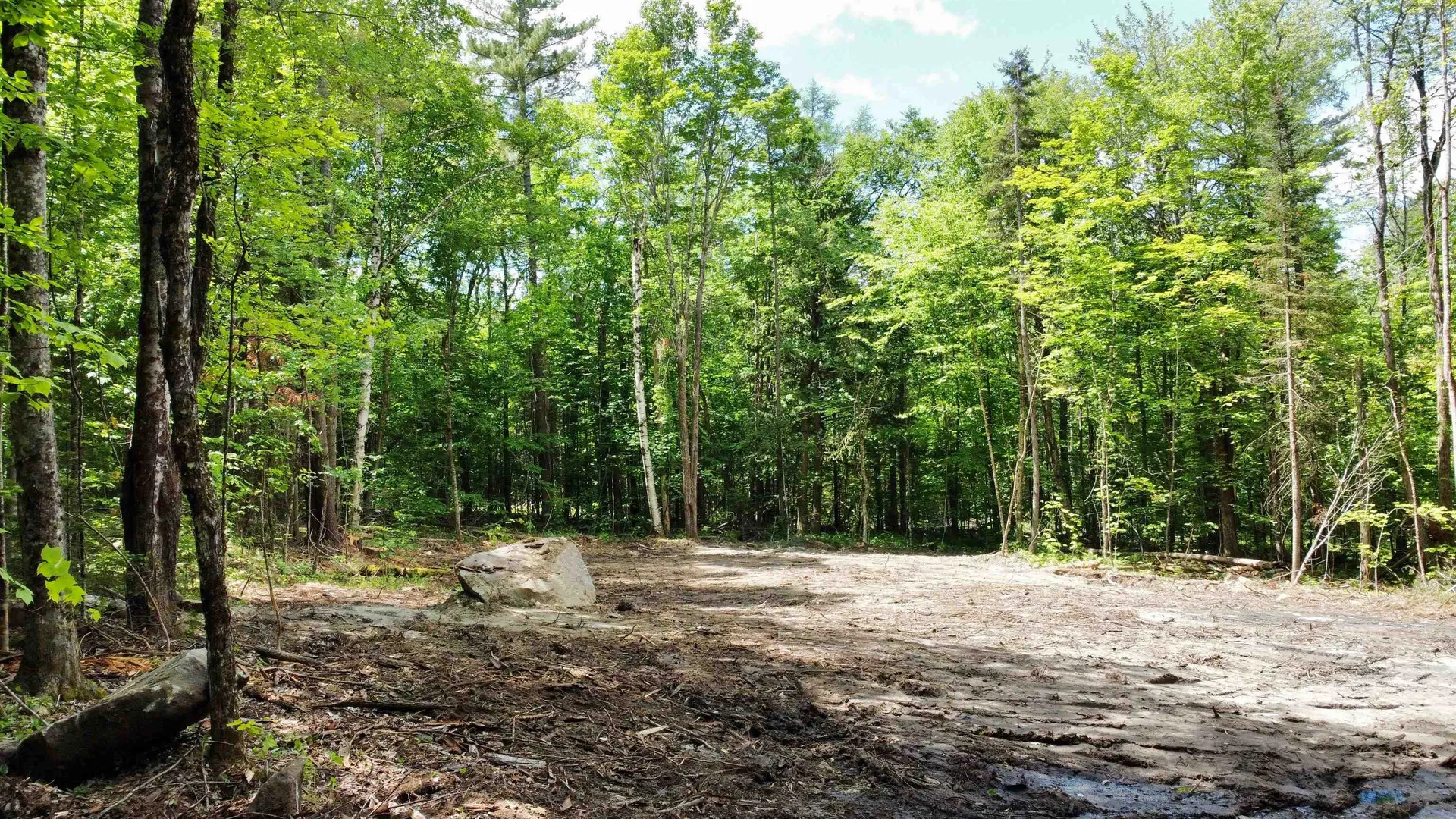 0 Cape Moonshine Road Piermont NH 03779