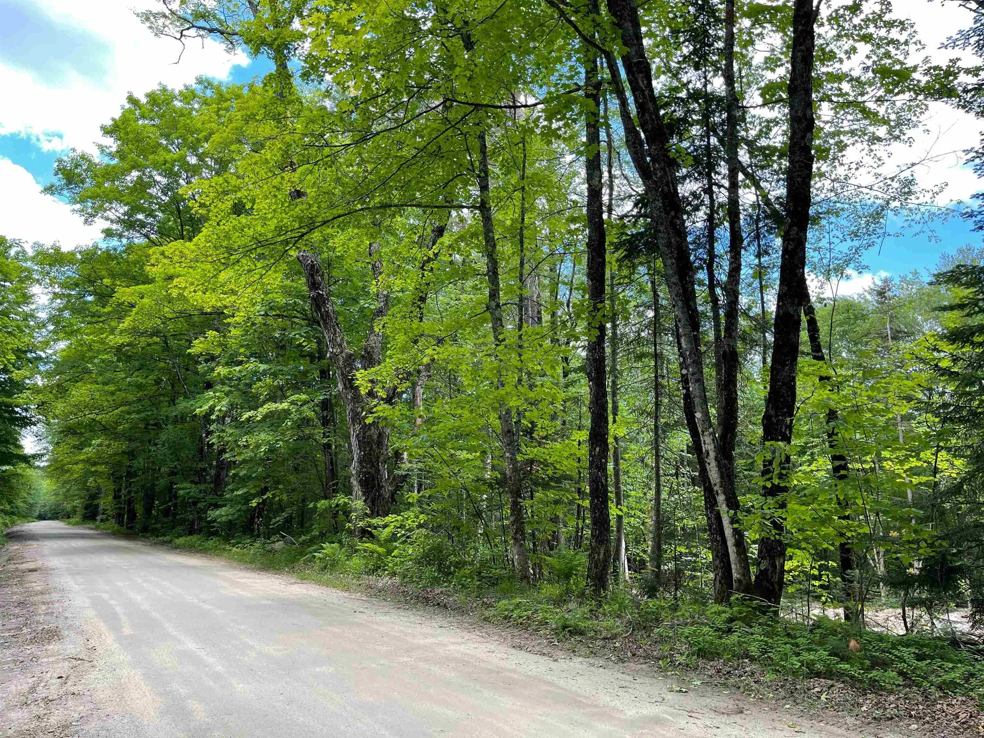 0 Cape Moonshine Road Piermont NH 03779