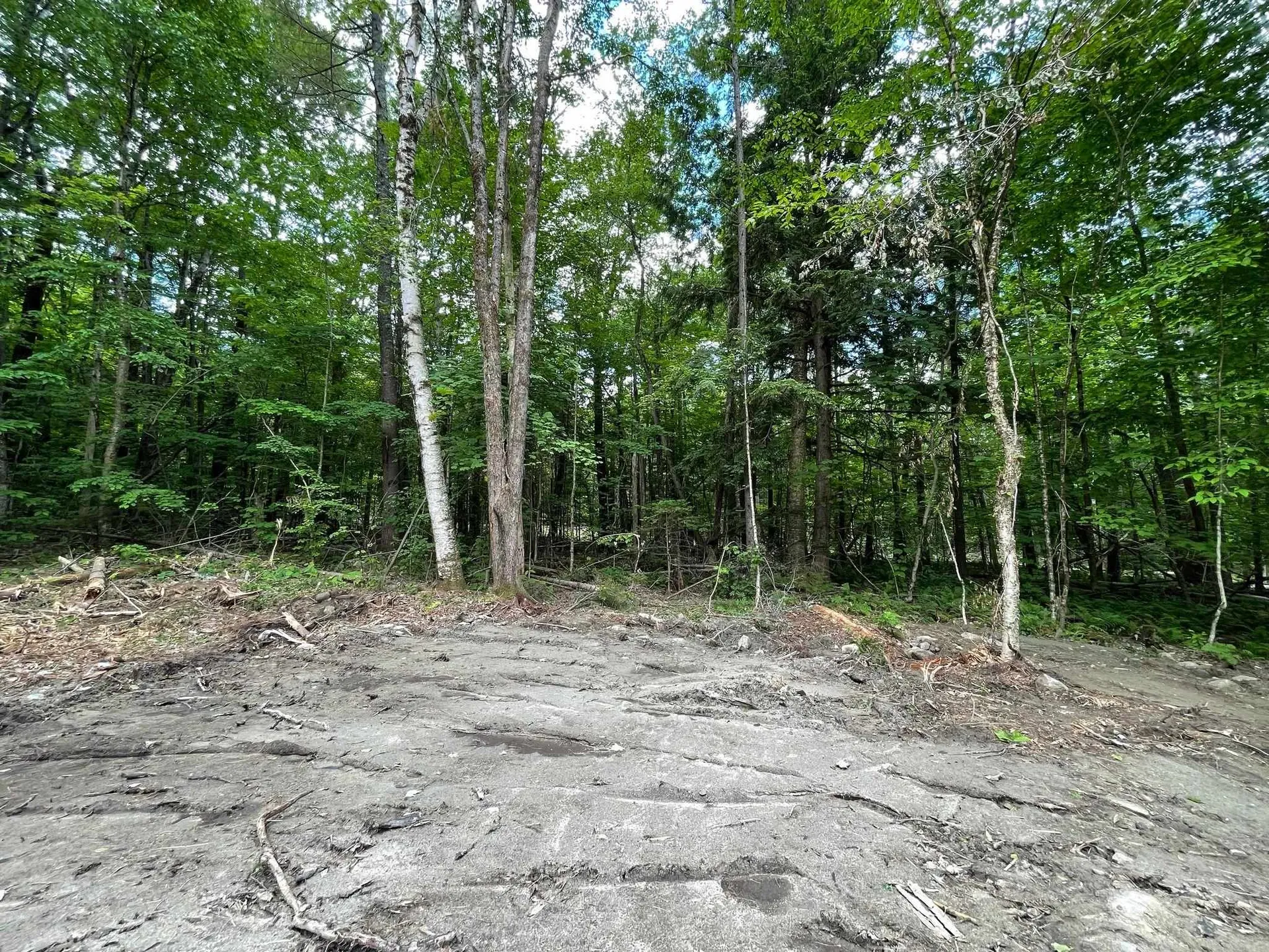 0 Cape Moonshine Road Piermont NH 03779