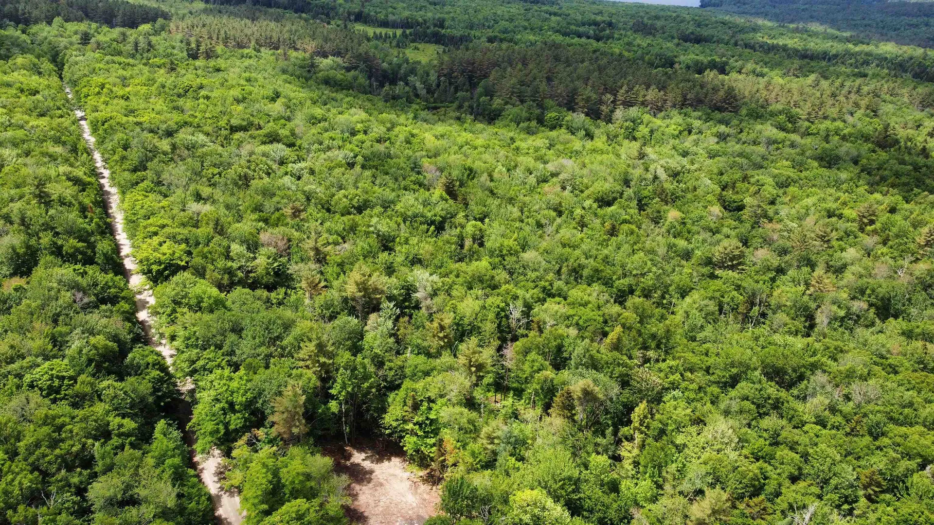 0 Cape Moonshine Road Piermont NH 03779