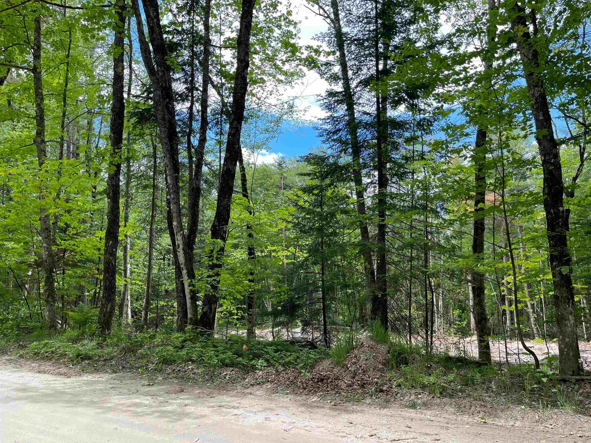 0 Cape Moonshine Road Piermont NH 03779