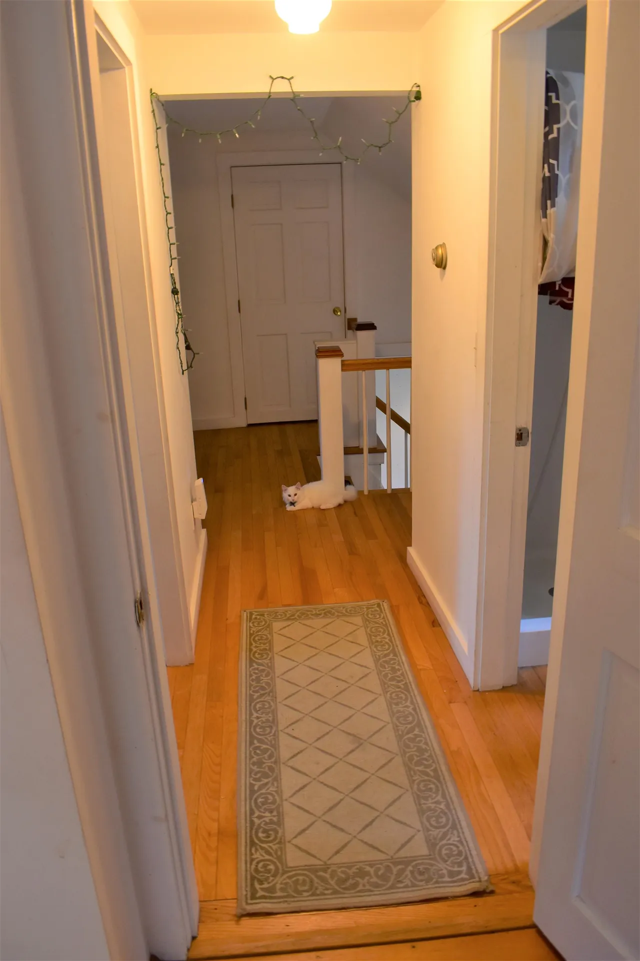 733 Beaver Meadow Road West Fairlee VT 05045