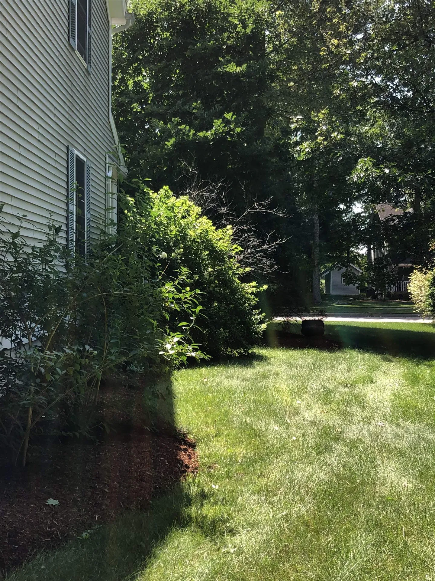 199 Nice Way Colchester VT 05446