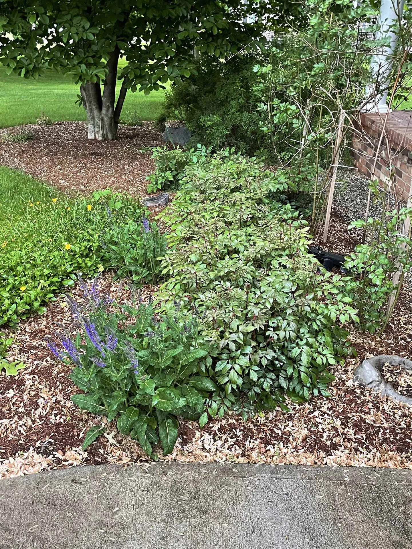 199 Nice Way Colchester VT 05446