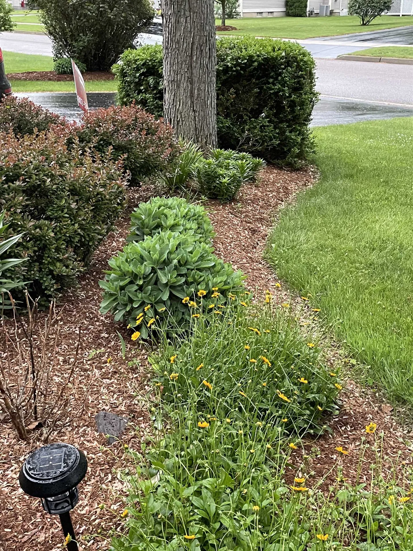 199 Nice Way Colchester VT 05446