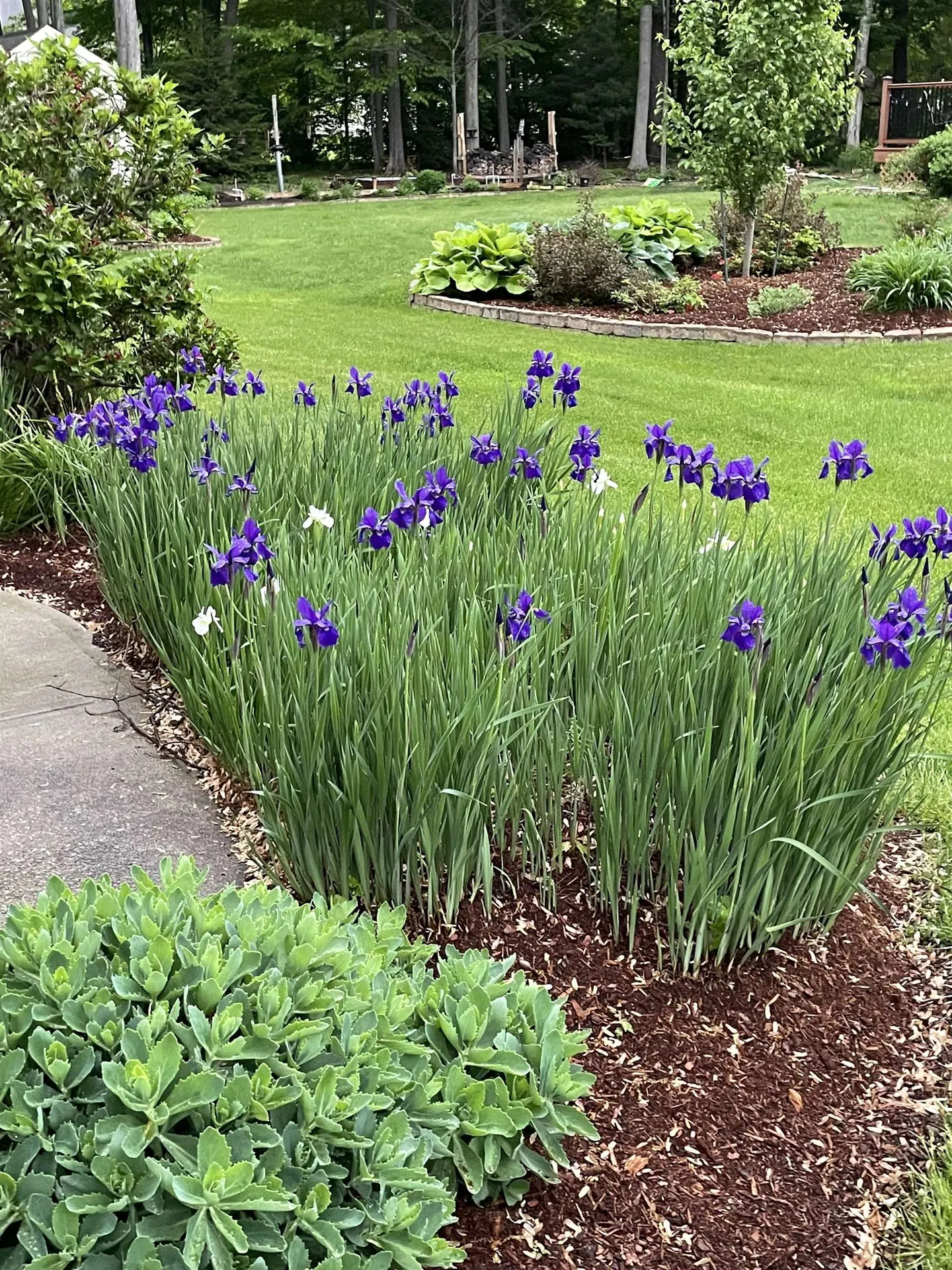 199 Nice Way Colchester VT 05446