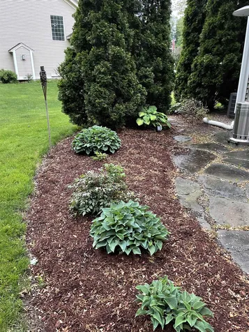 199 Nice Way Colchester VT 05446