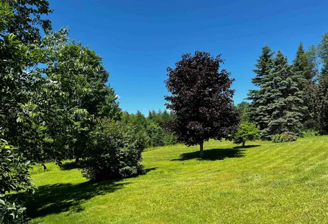 2099 Walden Hill Road Danville VT 05828