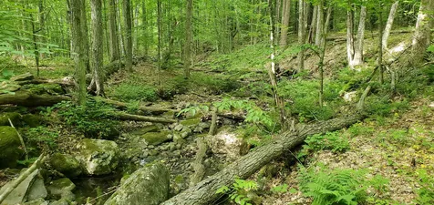 420 Gale Chandler Road Landaff NH 03585