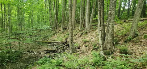 420 Gale Chandler Road Landaff NH 03585