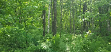 420 Gale Chandler Road Landaff NH 03585