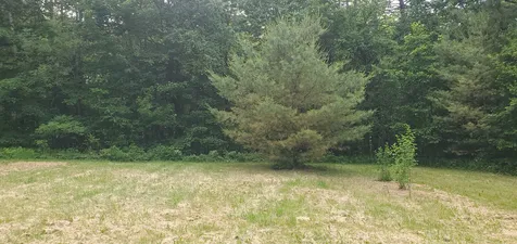 420 Gale Chandler Road Landaff NH 03585