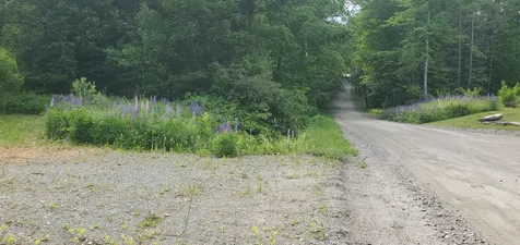 420 Gale Chandler Road Landaff NH 03585