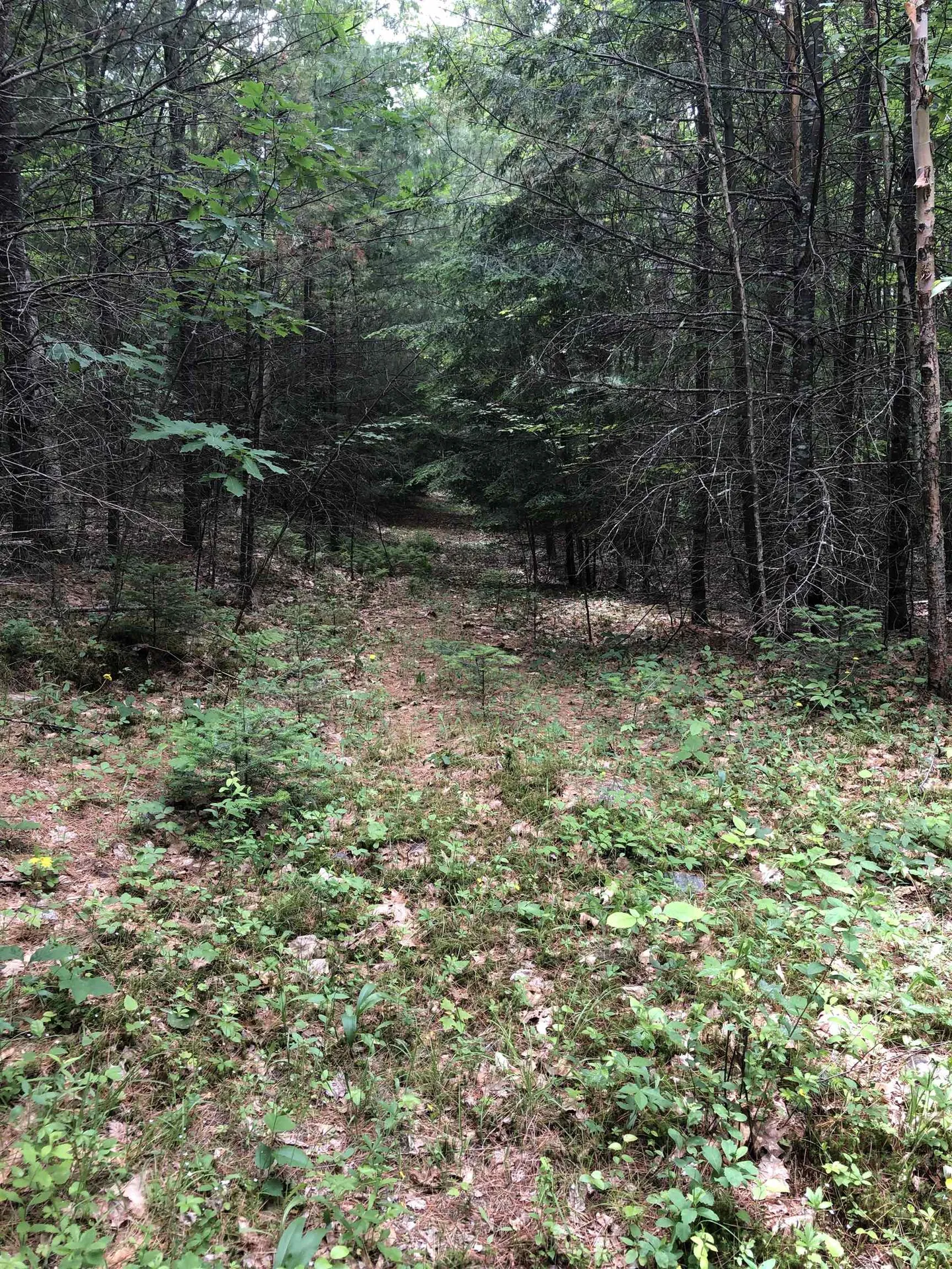89 Foliage View Drive Canaan NH 03741