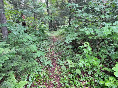 63 Bradley Road Averill VT 05901