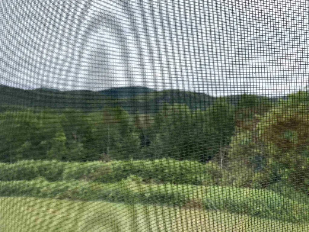 708 Butternut Hill Road Wells VT 05774