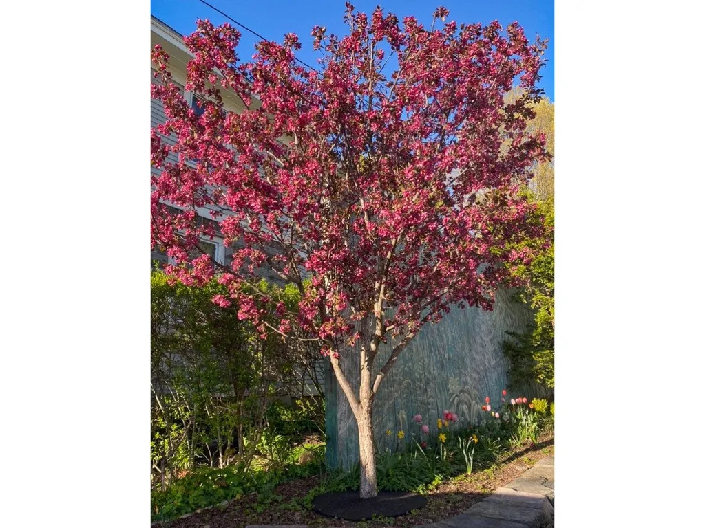 30 Perrotta Place Burlington VT 05401