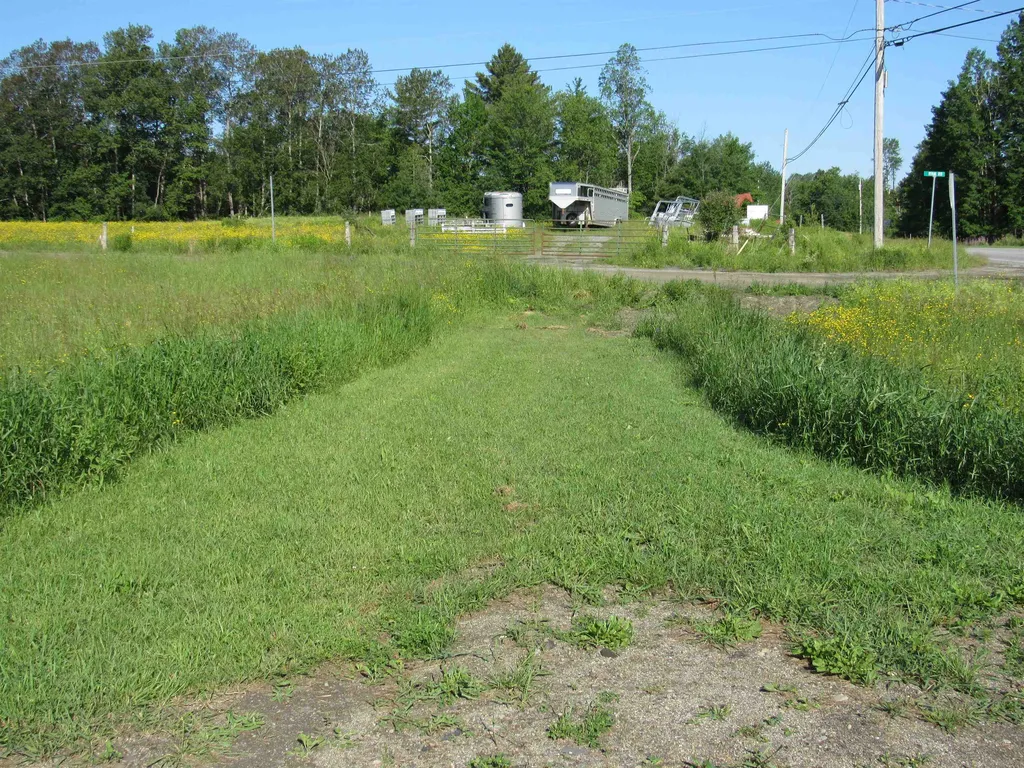 564 Route 58 Brownington VT 05860