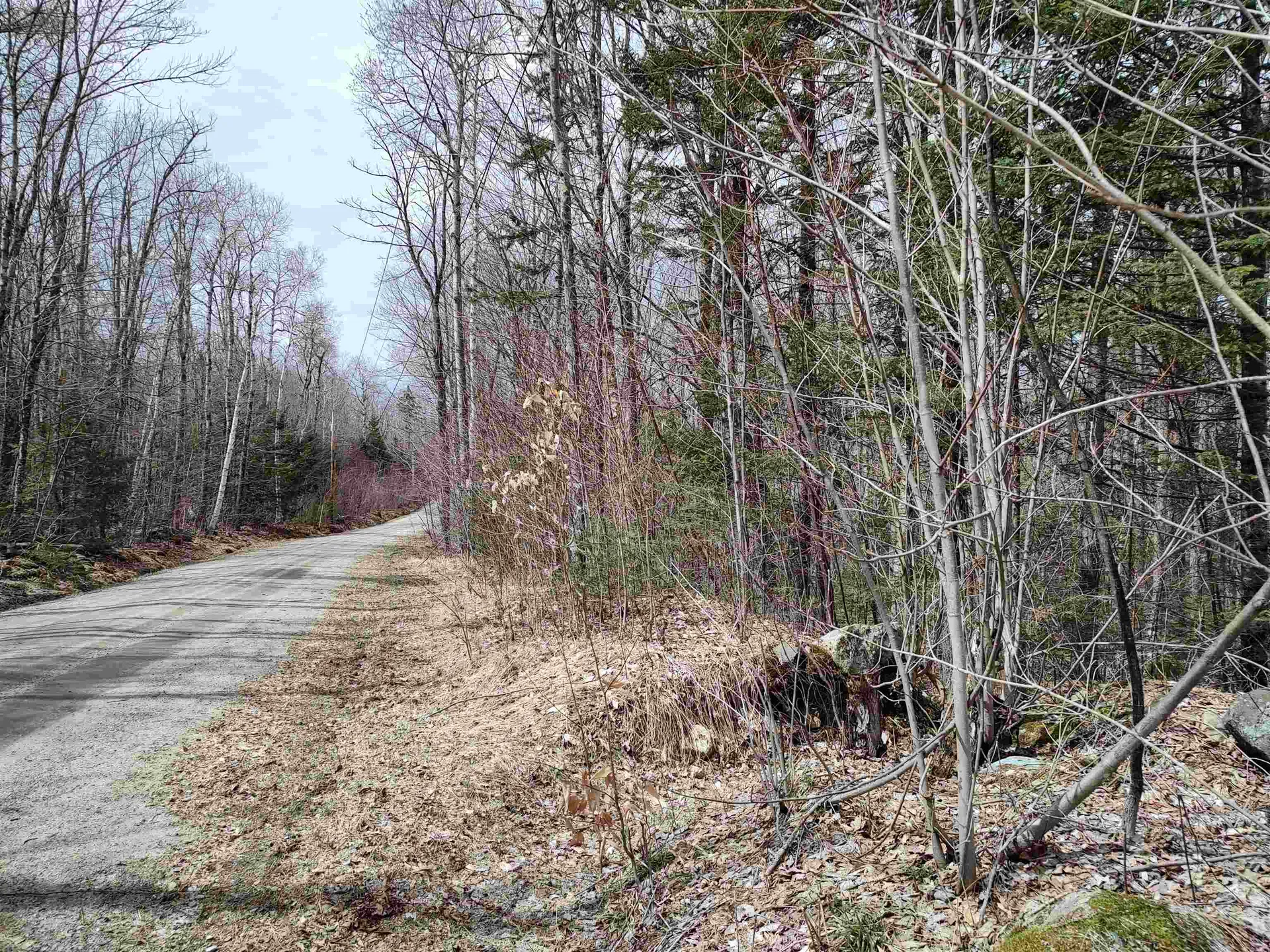 000 Tunnel Stream Road Benton NH 03785