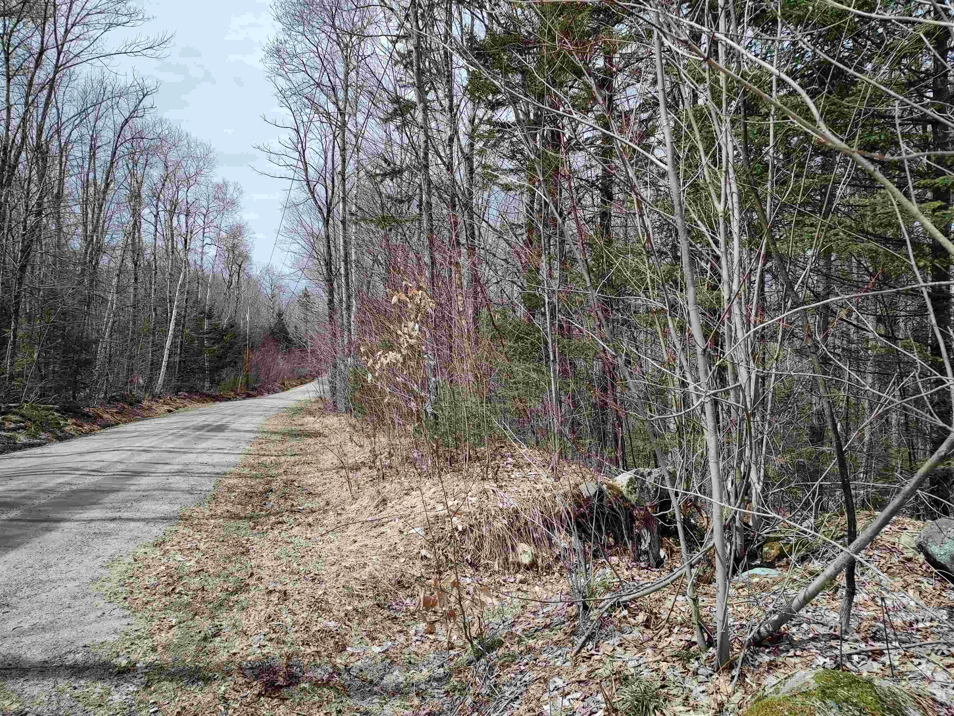 000 Tunnel Stream Road Benton NH 03785