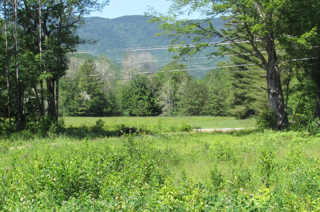 H Razor Brook Way Bartlett NH 03812